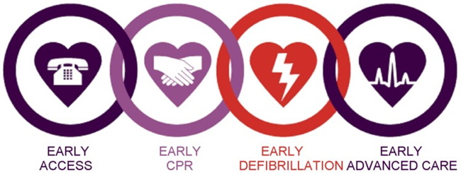 Tampa CPR Training & Certification Classes